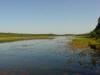 thm_upriver.jpg